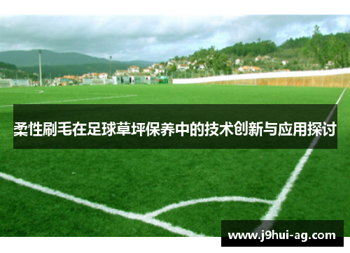 柔性刷毛在足球草坪保养中的技术创新与应用探讨